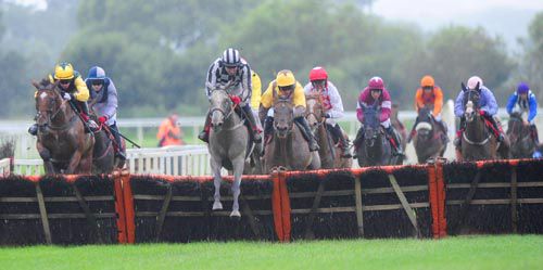 Grey horse Icy Reply leads over the last in Cork