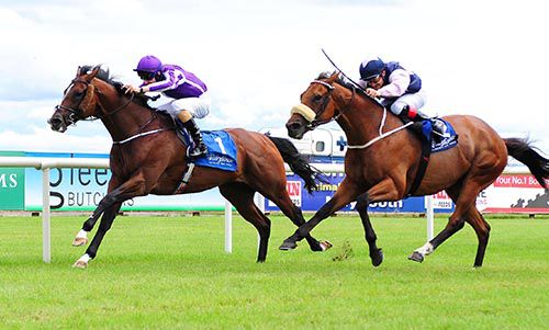 Darwin seen here beating Russian Soul at Fairyhouse