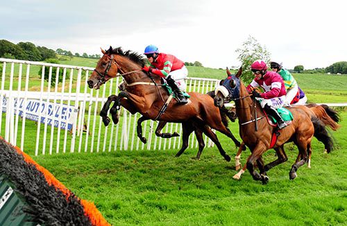 Wandering Aengus puts in a great leap for Shane Shortall
