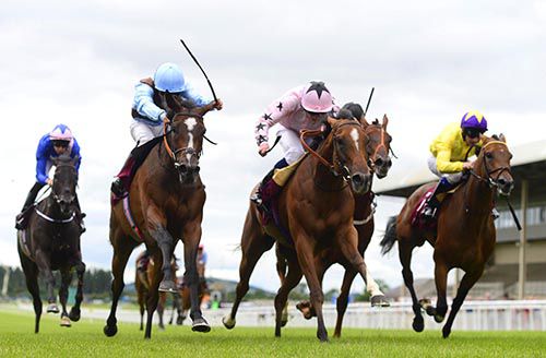 Mango Diva (pink) gets up to score under Ryan Moore from Lahinch Classics (light blue) and My Titania (yellow)