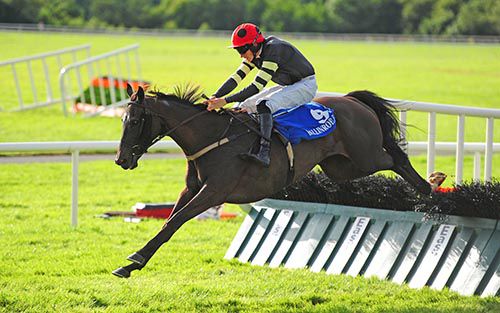 Wate And Sea (Adrian Heskin) clear the last on the way to victory in Ballinrobe's third