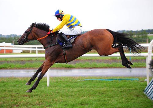Supreme Vic clears a hurdle on her way to victory under Shane Shortall