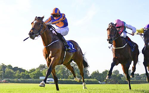 Gleneagles is ridden out by Joseph O'Brien in the closing stages