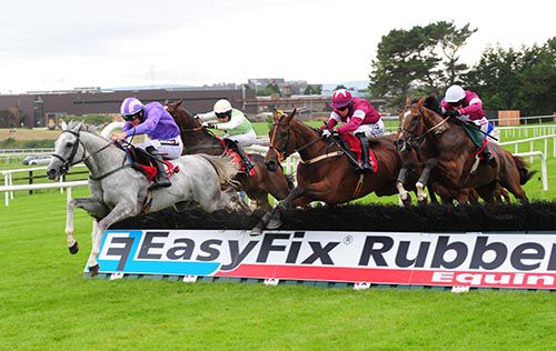 Runners jump a hurdle in the opening race at Galway