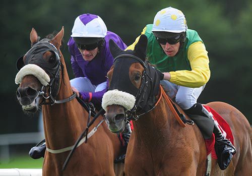 Quick Jack, right, glides past Grecian Tiger in Ballybrit