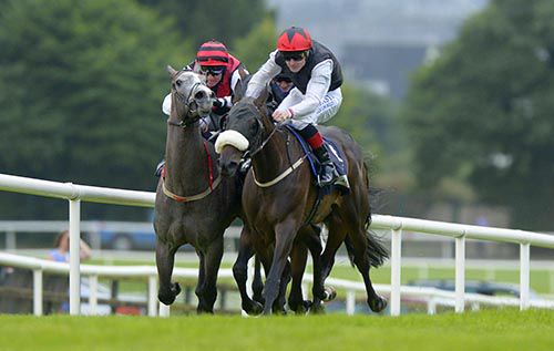 Antique Platinum, right, delivers his challenge in Galway
