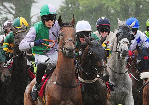 Galway race 3 action - Greatness (grey, the winner, with Shane Shortall up)