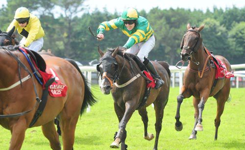 Park Ranger is led home by loose horses to win an incident packed opener