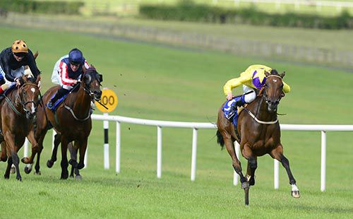 Newtown's Night powers clear in Naas