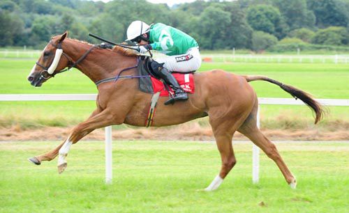 Bosman Rule gets his first victory in Cork