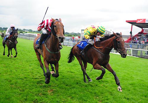 Drop Anchor (Brian O'Connell, far-side) just gets there from Lapse Of Reason (Robbie Colgan)