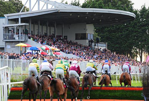 The eight runners approach the packed stand in the feature at Sligo