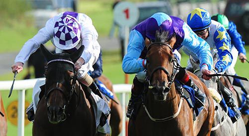 Empress Toorah, right, beats Willowing in Roscommon