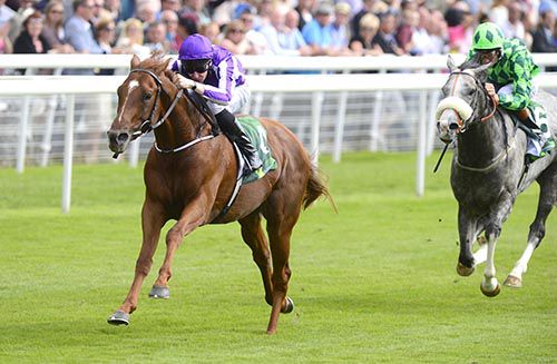The Juddmonte International Stakes AUSTRALIA and Joseph O Brien wins from THE GREAT GATSBY for trainer Aidan O Brien 