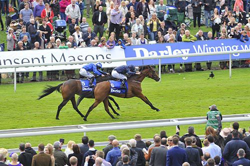 Tapestry seen here beating Taghrooda