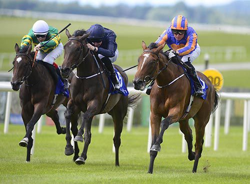 Found, right, impresses on her debut at the Curragh
