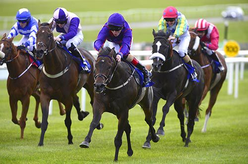 Doc Holliday puts his rivals away in the Curragh 