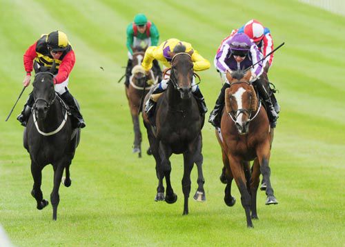 Leading Light winning at the Curragh
