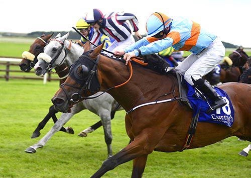 Sretaw, near side, holds on at the Curragh