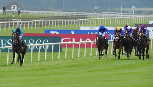 Brown Panther pictured on his way to victory in the 2014 Irish St Leger