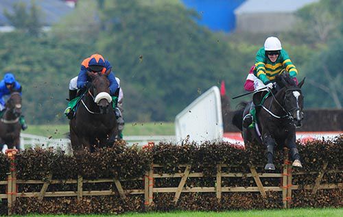 Egyptian Warrior (right) jumps the last just ahead of Tom's Article