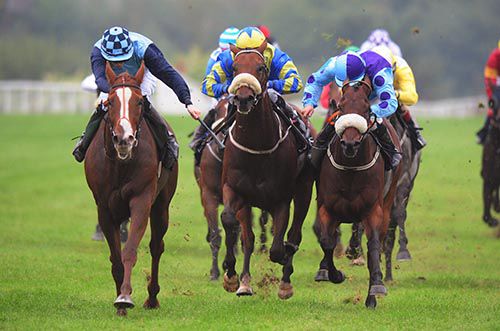 Shalamzar (Tom Madden, left) beats Hasanour (centre) and Cairdiuil at Listowel