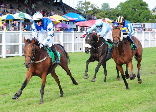 Ask Vic heads for the winning post in Listowel