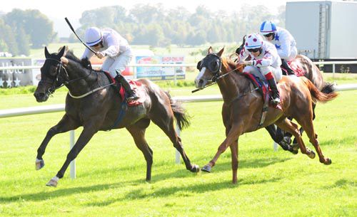 Succeed And Excel fends off Crecora in Gowran Park