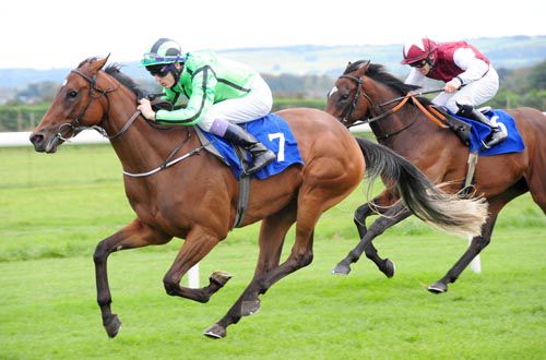 The Michael O'Callaghan-trained Military Angel beating Devonshire at Roscommon last year