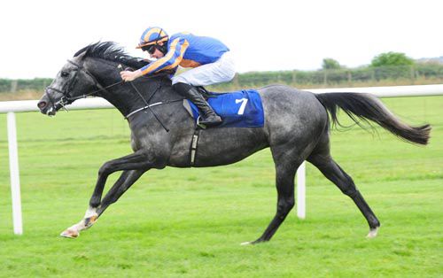 A Greater Force and Joseph O'Brien take Roscommon's third