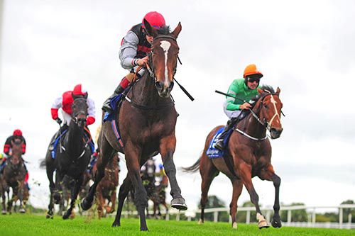 Cailin Mor and Ronan Whelan leads home Rory Cleary on No Way Jack at Fairyhouse