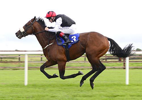 Katimavik on the way to victory in Fairyhouse's fourth under Pat Smullen