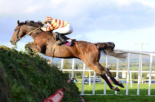 Spot Fine jumps a fence on his way to victory under David Casey