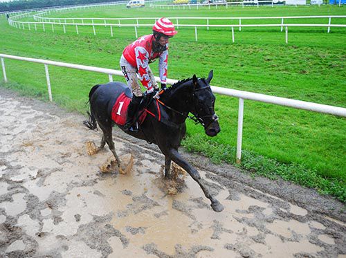 On a trying day for everyone at Gowran Black Zambezi returns in triumph under Patrick Mullins