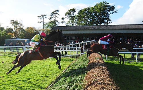 Sizing Europe puts in a great jump at the last in his pursuit of Road To Riches
