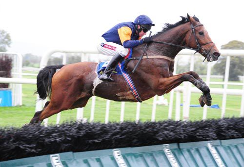 Rebel Fitz and Barry Geraghty power to victory at Tipperary