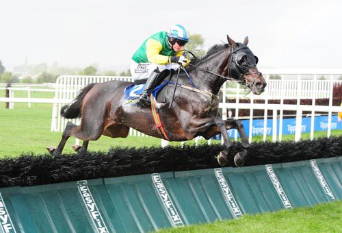 Cool Oscar and Paul Townend on the way to an easy win in Tipperary's third