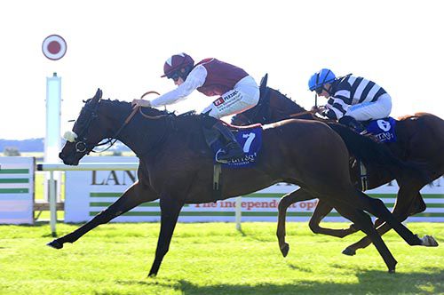 Devonshire beats Corail in the Curragh 