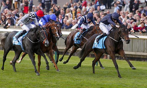 Together Forever is driven out by Joseph O'Brien to beat Agnes Stewart (outside)