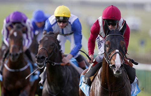 Belardo (right) pictured on his way to victory in the Dewhurst last year