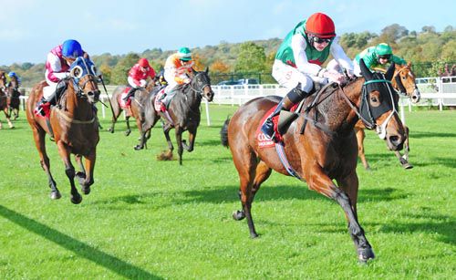 La Canaada sees it out well under Connor King at Cork