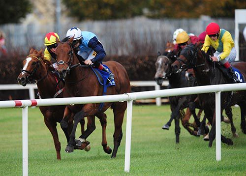 Endless Drama (blue) pictured on his way to victory under Colin Keane