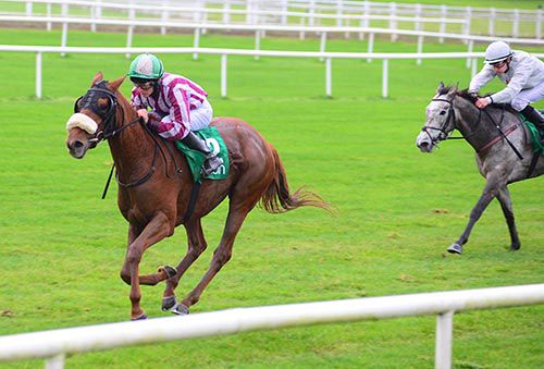 Hannah's Magic and Sean Corby assert from Nancy Rose and Shane Foley