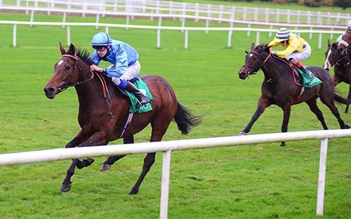 Happy Anniversary and Donnacha O'Brien are in control from Rose Angel at Navan