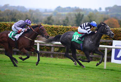Lettre De Cachet and Billy Lee defeat Very Intense and Ronan Whelan in the last at Navan