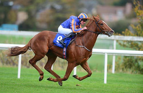 Giovanni Canaletto strides clear for Seamie Heffernan