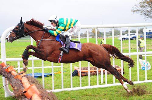 Draco came home a good winner at Wexford under Robbie Power