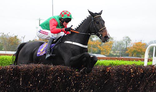 Seefood and Barry Geraghty come home in style at Wexford
