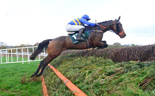 Vics Canvas and Conor Maxwell jump the last 