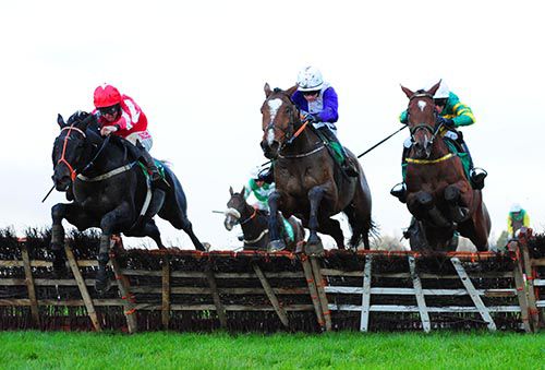 Harvey Logan (right) jumps the last with Luddsdenene (centre) and Mind The Pennies (left)